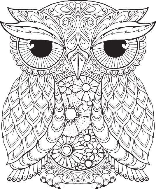 535x645 Httpcolorings.coowl Adult Coloring Pages