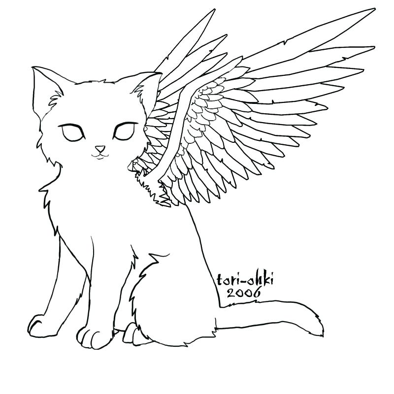 800x800 Angel Wings Coloring Pages Angel Wings Coloring Pages Cat