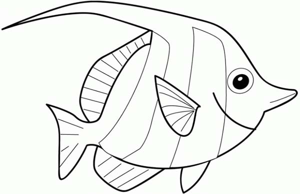 600x387 Angelfish Coloring Pages