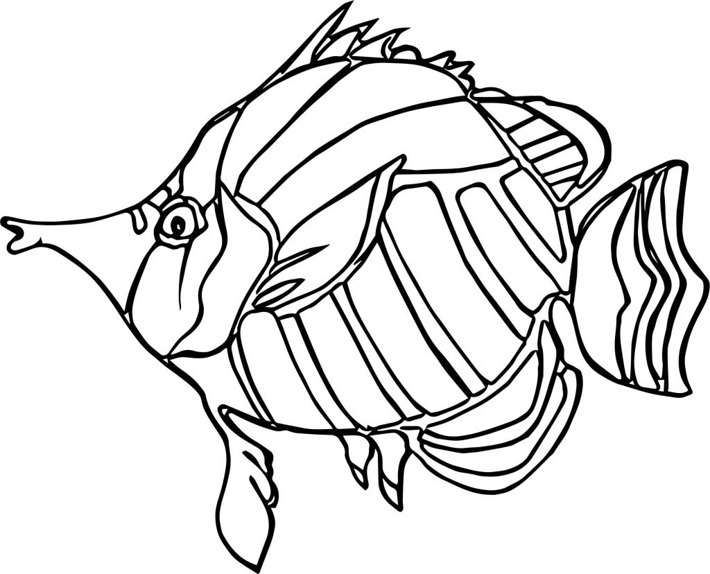 1024x828 Angel Fish Coloring Page Deeptown Club