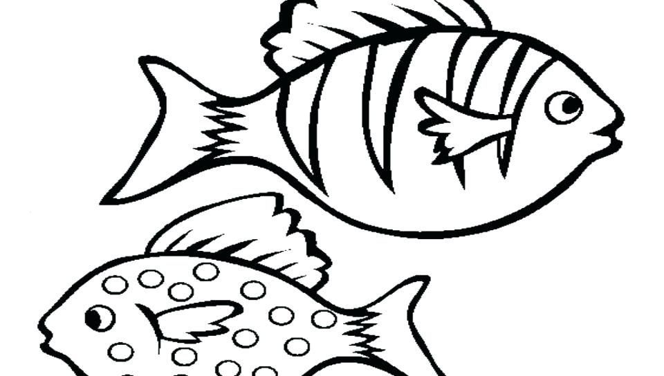 960x544 Goldfish Coloring Pages Bass Fish Coloring Pages Angel Fish