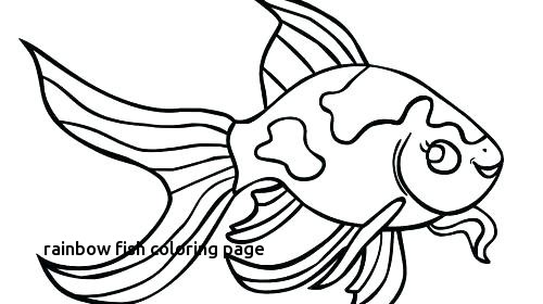 500x280 Angel Fish Coloring Page Coloring Page A Rainbow Rainbow Fish
