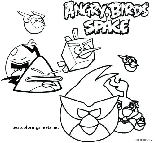 New Angry Birds Go Coloring Pages Best Coloring Pages Printable 500x461 New Angry Birds Go Coloring Pages Best Coloring Pages Printable