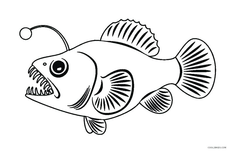 800x524 Angler Fish Coloring Pages Color Pages Of Fish Angler Fish