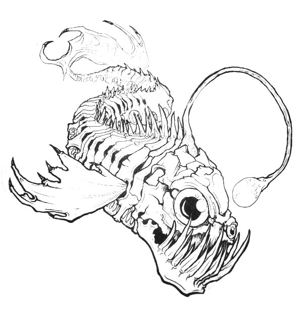 600x614 Angler Fish Adult Coloring Pages Free