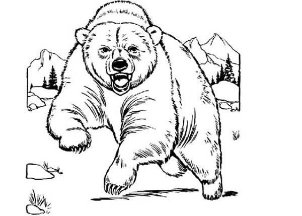 Bear Is Angry Coloring Page 600x429 Bear Is Angry Coloring Page