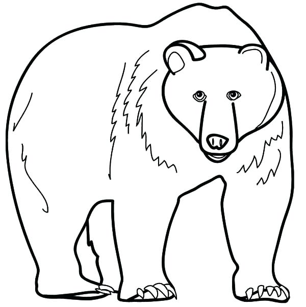Angry Bear Coloring Page at GetColorings.com | Free printable colorings ...