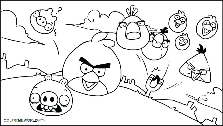 Angry Bird Colouring Pages Online Icontent 775x438 Angry Bird Colouring Pages Online Icontent