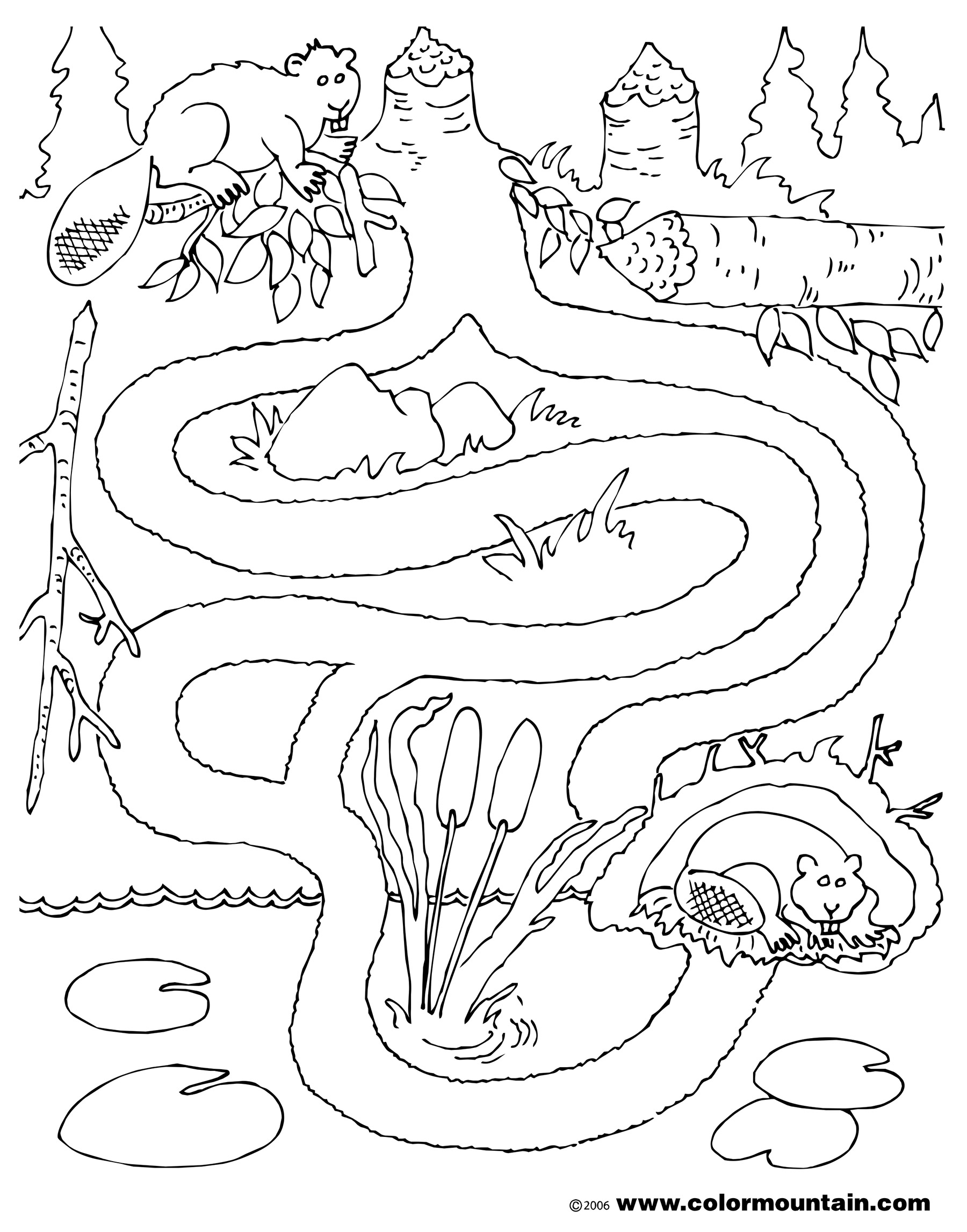 1800x2294 Beaver Coloring Page Coloring 4 Moana Art