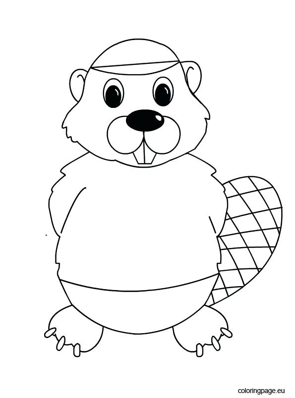 595x804 Beaver Coloring Page Printable Beaver Coloring Page Medecine Du