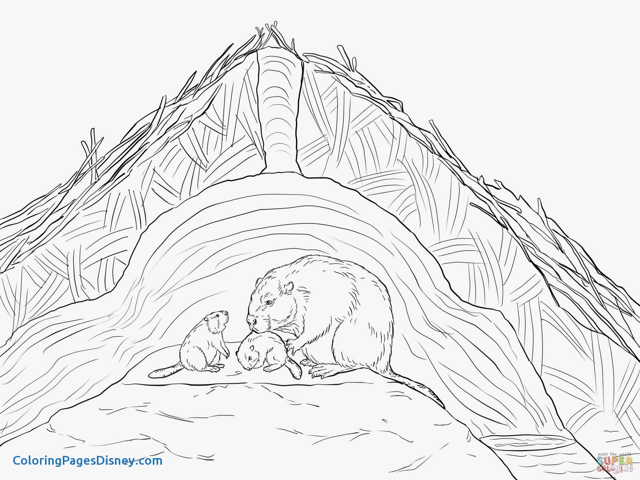 2048x1536 Beavers Coloring Pages Beautiful Angry Beavers Coloring Pages