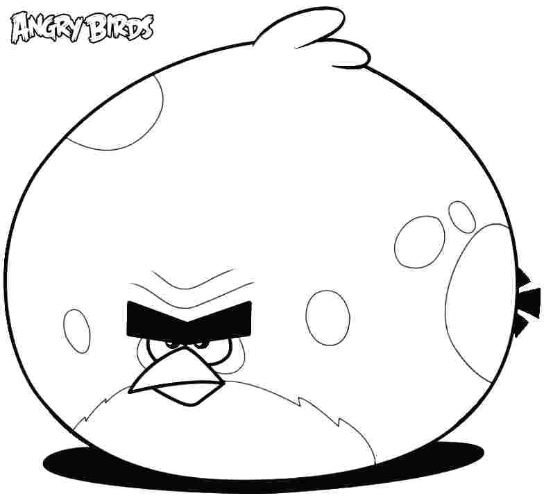 Angry Bird Coloring Pages Angry Bird Coloring Page Angry Birds 784x718 Angry Bird Coloring Pages Angry Bird Coloring Page Angry Birds