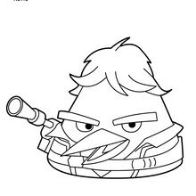 Angry Birds Star Wars Coloring Pages 220x220 Angry Birds Star Wars Coloring Pages