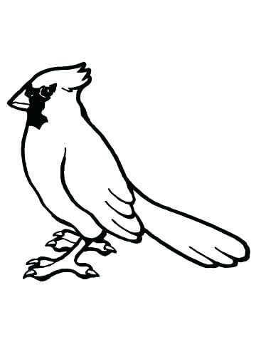 Birds Coloring Pages For Kids Angry Birds Coloring Pages Red Bird 360x480 Birds Coloring Pages For Kids Angry Birds Coloring Pages Red Bird