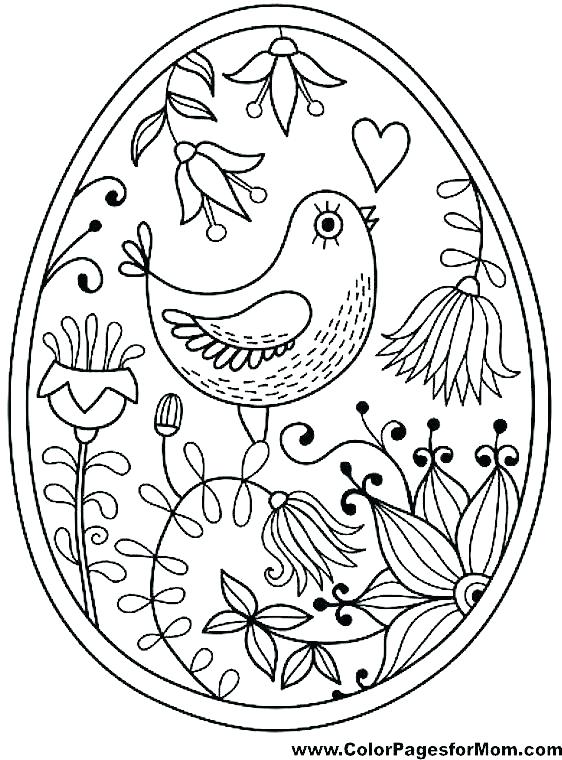 Angry Birds Printable Coloring Pages Birds Coloring Pages Bird 562x760 Angry Birds Printable Coloring Pages Birds Coloring Pages Bird
