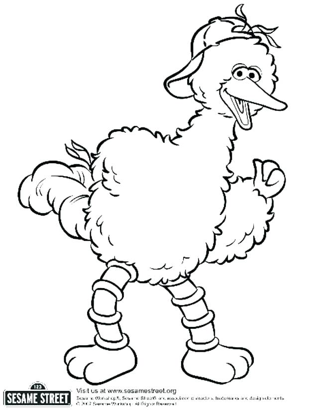 Bird Printable Best Collection Coloring Pages Angry Bird Printable 621x830 Bird Printable Best Collection Coloring Pages Angry Bird Printable