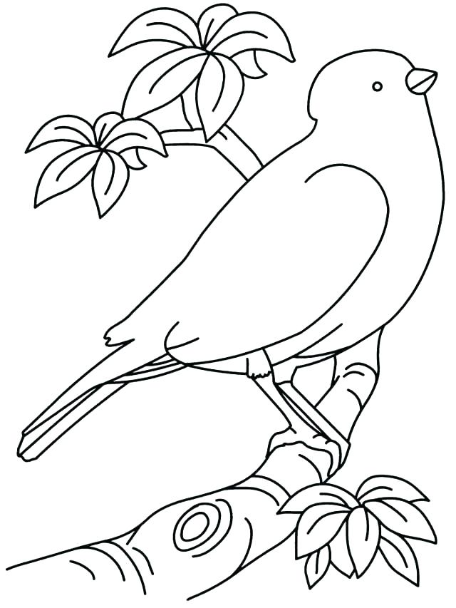 Printable Birdhouse Plans Printable Coloring Angry Bird Go 640x853 Printable Birdhouse Plans Printable Coloring Angry Bird Go