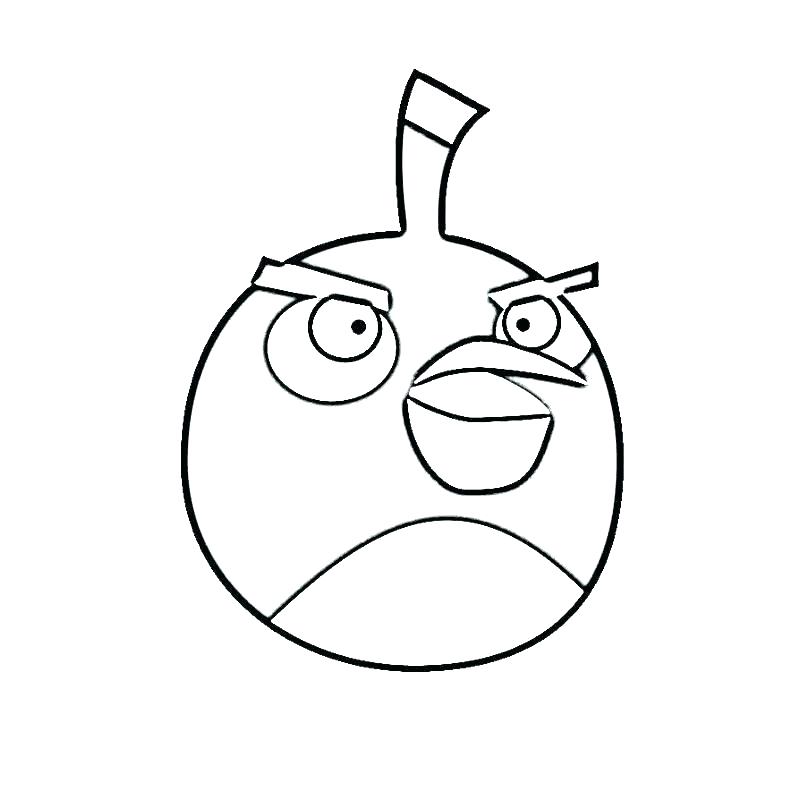 Angry Bird Pages Angry Bird Coloring Pages Angry Birds Colouring 800x800 Angry Bird Pages Angry Bird Coloring Pages Angry Birds Colouring