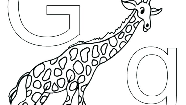 Farm Animal Alphabet Coloring Pages Wildlife Animals Zoo 750x425 Farm Animal Alphabet Coloring Pages Wildlife Animals Zoo