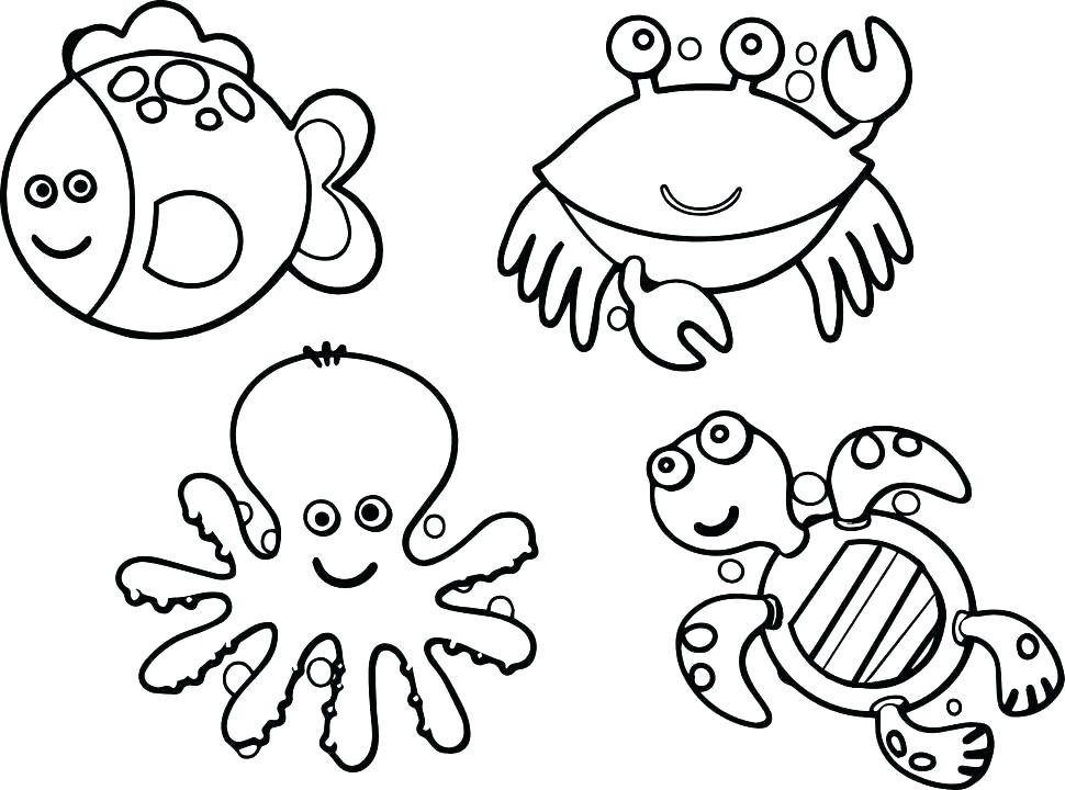 970x720 Cell Coloring Page Animal Cell Coloring Page Animal Cell Coloring