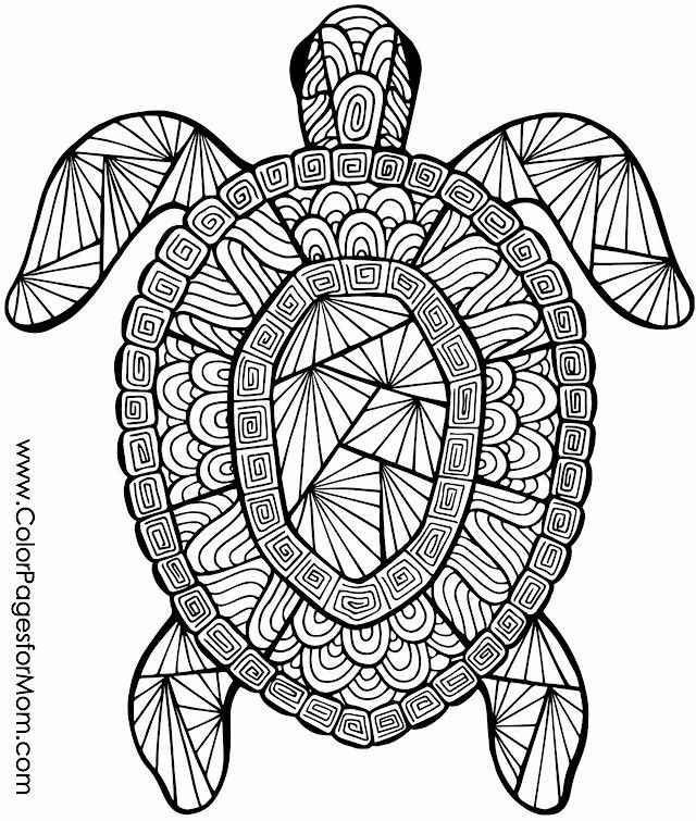 Animal Collage Coloring Pages