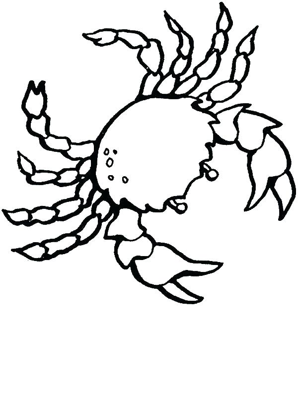 600x800 Crab Coloring Pages Crab Pictures To Color Free Realistic Sea Crab