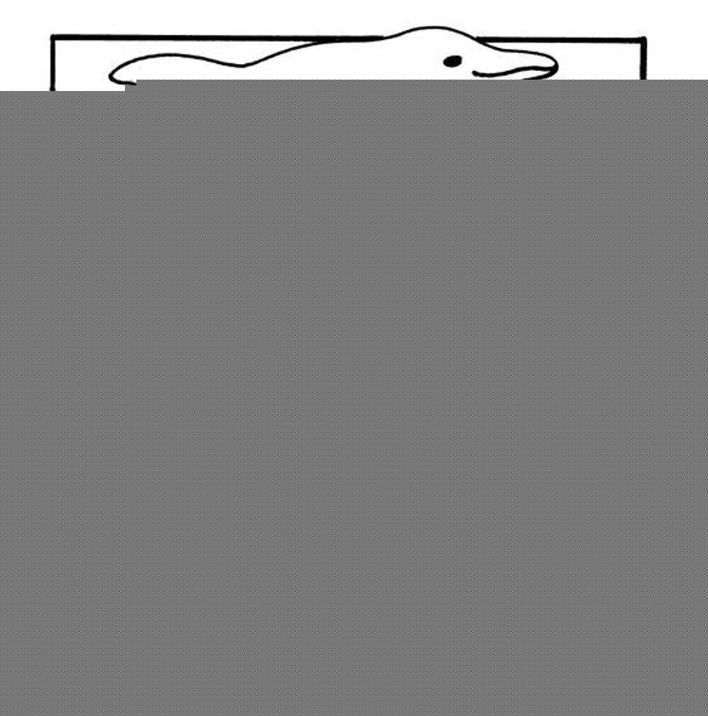 997x1007 Ocean Animal Coloring Pages