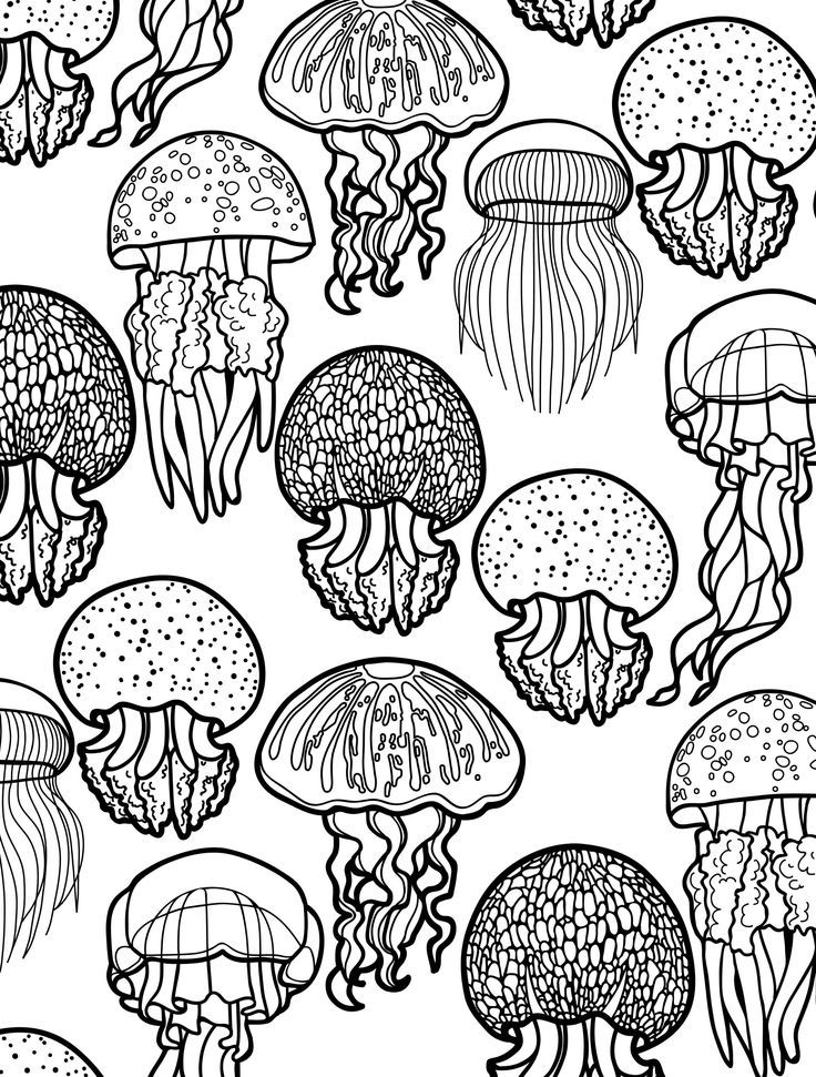 Animal Coloring Pages For Adults