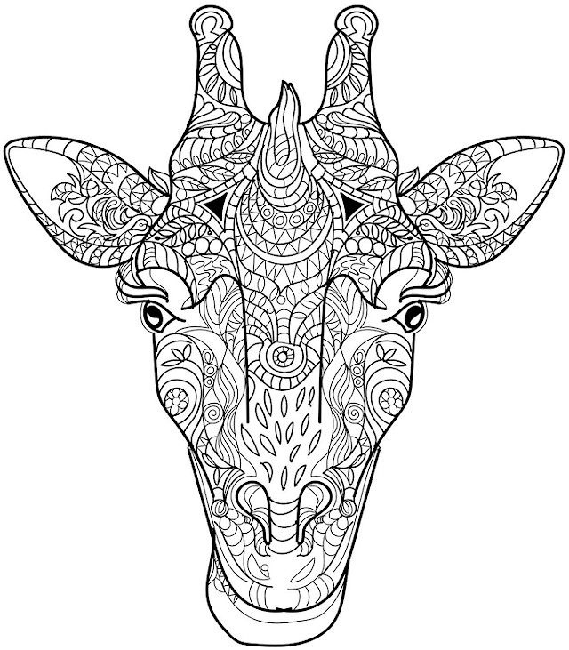 640x731 Free Printable Coloring Pages For Adults Animals Printables And Menu