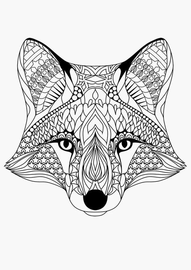 Animal Coloring Pages For Older Children