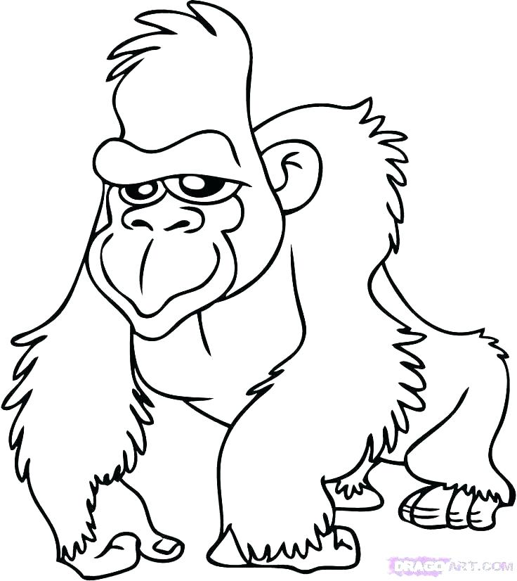 Older Kid Coloring Pages Free Kids Coloring Baby Jungle Animals 736x826 Older Kid Coloring Pages Free Kids Coloring Baby Jungle Animals
