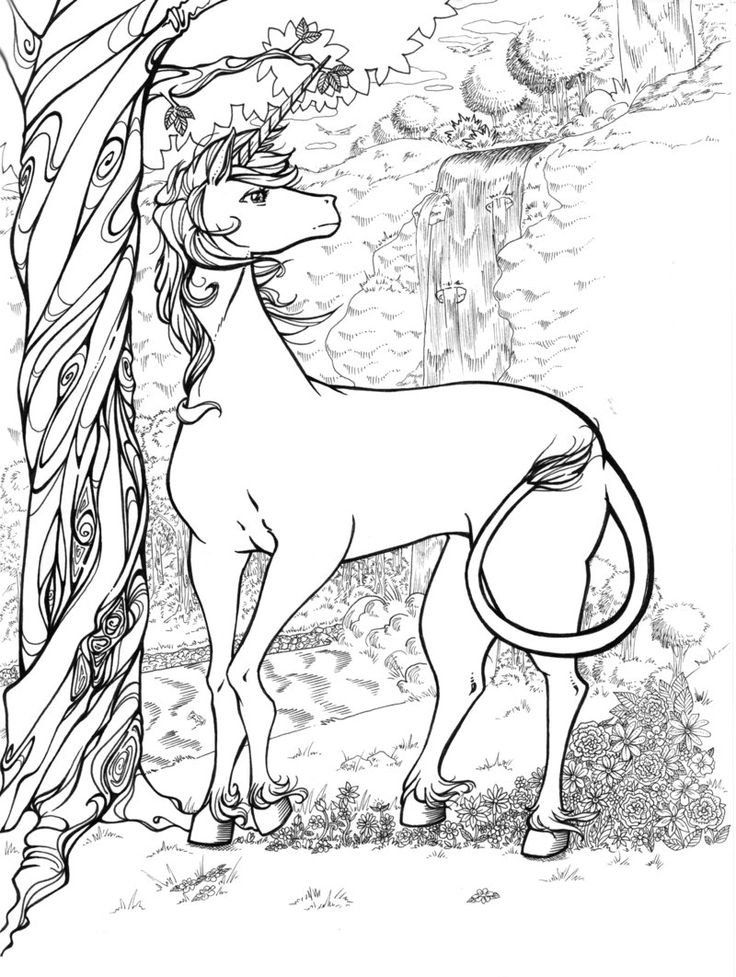 Realistic Unicorn Coloring Pages Download And Print For Free 736x977 Realistic Unicorn Coloring Pages Download And Print For Free