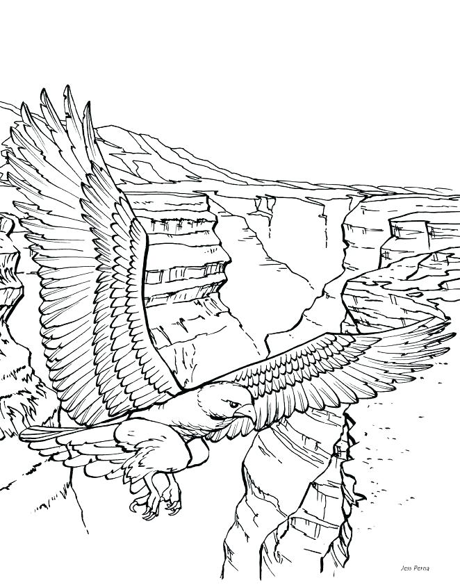 Realistic Animal Coloring Pages 662x842 Realistic Animal Coloring Pages