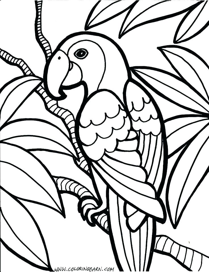 736x957 Animals Coloring Pages Toddlers Animal Coloring Pages