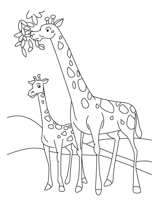 612x792 Amazing Coloring Pictures Of Giraffes Printable To Good Giraffes