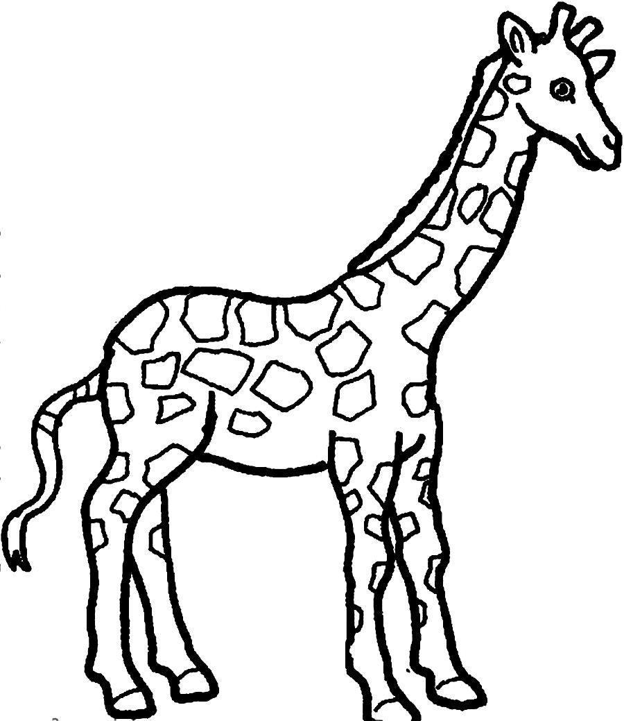 900x1039 Giraffe Coloring Page Clip Art