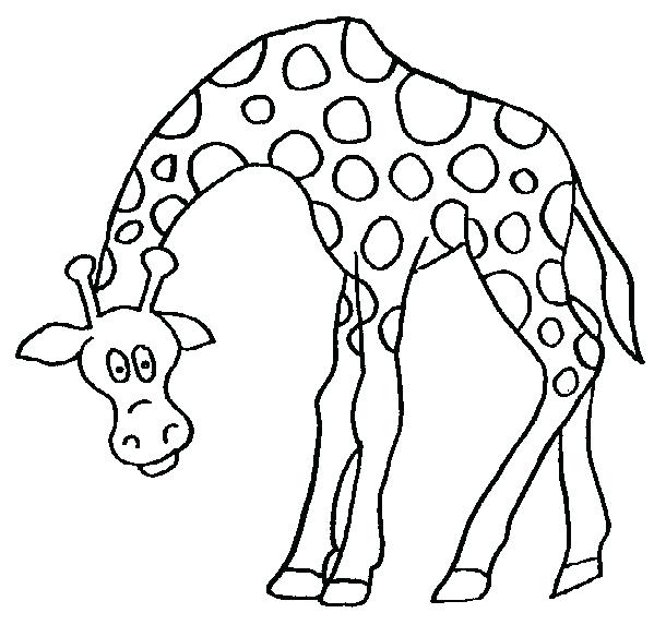 610x573 Giraffes Coloring Pages Giraffe Coloring Book Page Printable