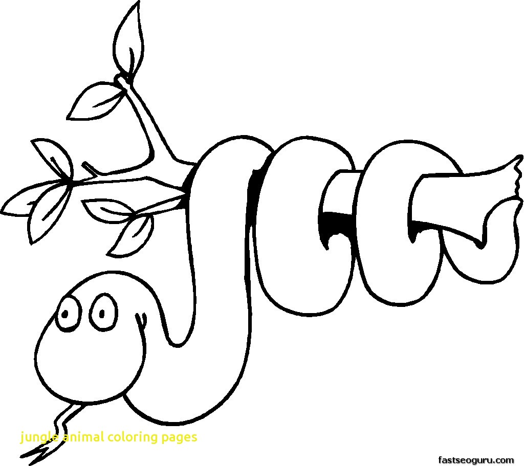 1024x911 Jungle Animal Coloring Pages With Wild Animal Coloring Page