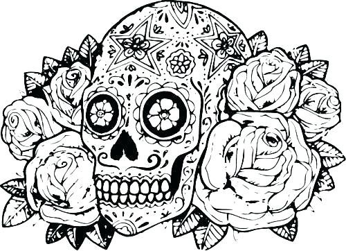 500x362 Hard Animal Coloring Pages Difficult Animals Coloring Pages