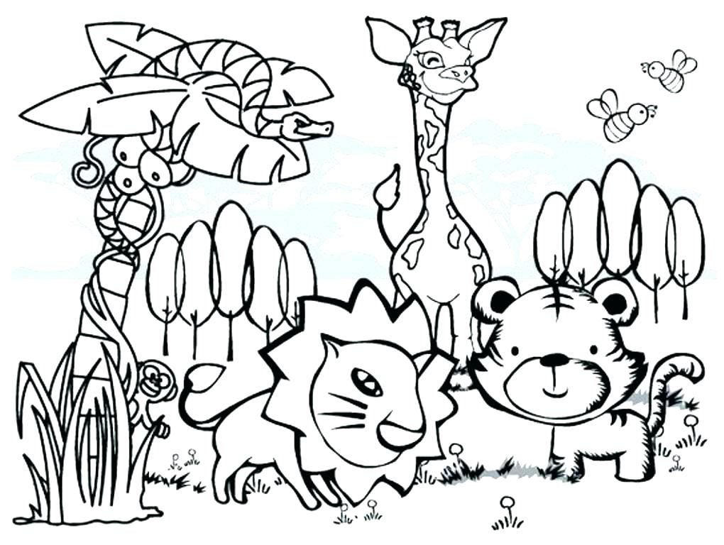 1020x768 Rainforest Animals Coloring Pages Coloring Pages Jungle Animals