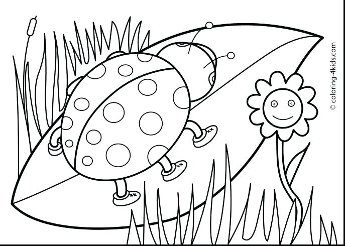 Coloring Pages For Kids Animals Coloring Pages Of Cute Animals 687x490 Coloring Pages For Kids Animals Coloring Pages Of Cute Animals