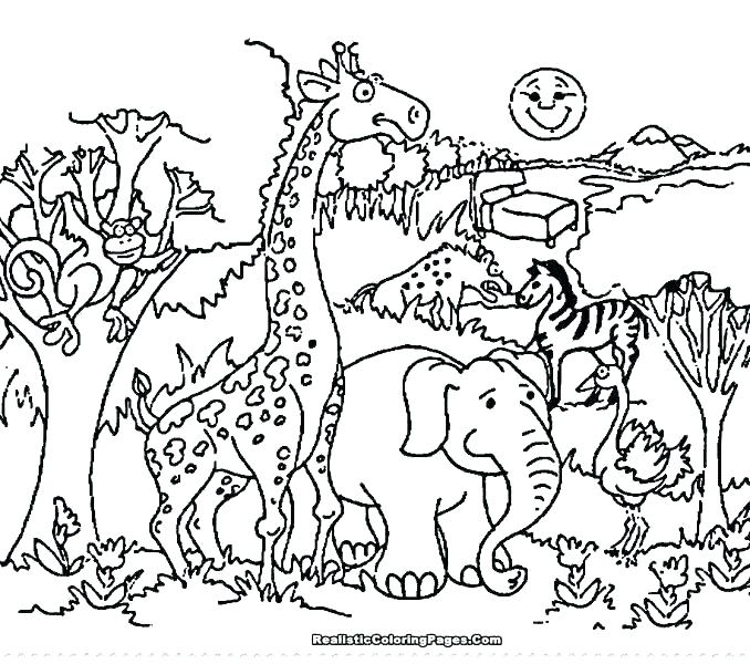 Wildlife Coloring Pages Coloring Book Zoo Animals Plus Coloring 678x600 Wildlife Coloring Pages Coloring Book Zoo Animals Plus Coloring