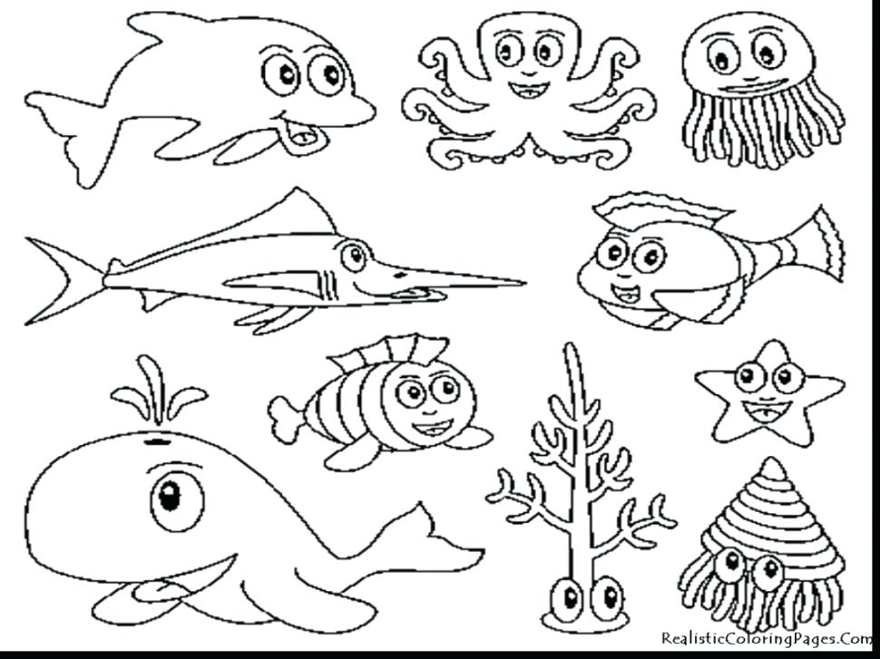 Wild Animals Coloring Pages Pdf 970x727 Wild Animals Coloring Pages Pdf
