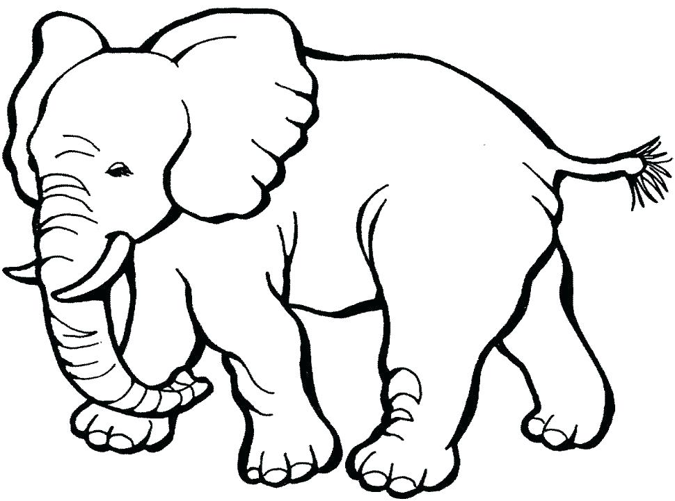 Animal Coloring Page Coloring Pages Printable Animals Large Size 970x721 Animal Coloring Page Coloring Pages Printable Animals Large Size