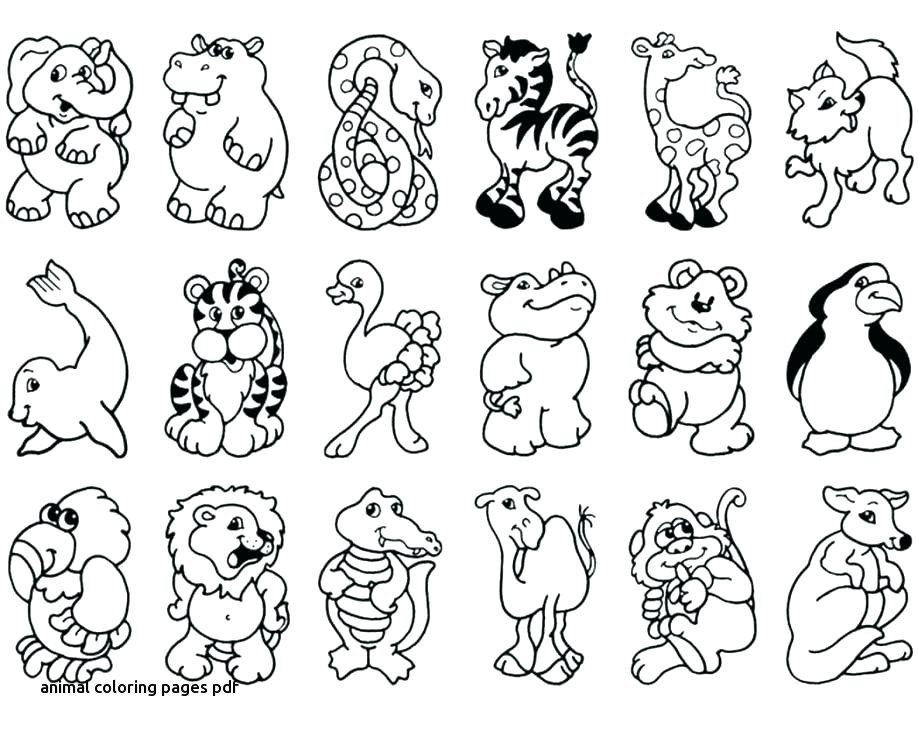 Animal Coloring Pages Pdf 918x738 Animal Coloring Pages Pdf