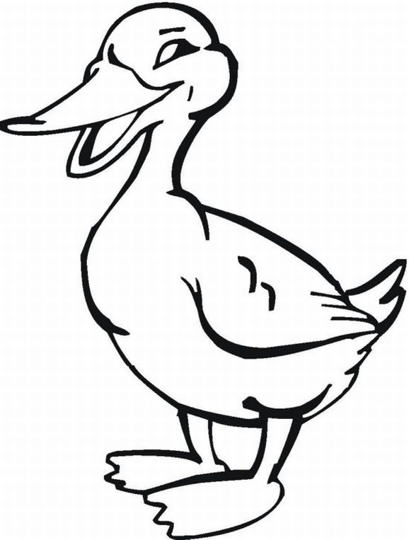 Free Printable Farm Animal Coloring Pages For Kids 578x763 Free Printable Farm Animal Coloring Pages For Kids