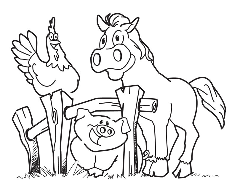 Free Printable Coloring Pages Of Farm Animals Free Printable 800x642 Free Printable Coloring Pages Of Farm Animals Free Printable