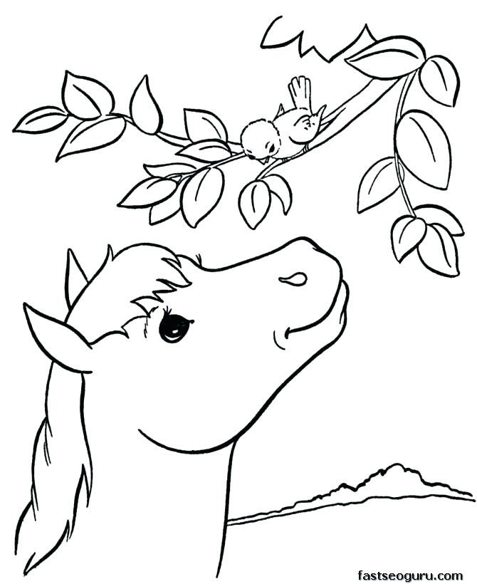 Animal Print Coloring Pages 670x820 Animal Print Coloring Pages