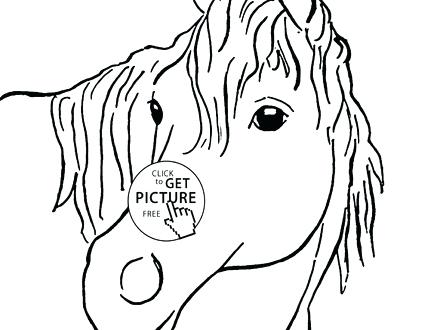 440x330 Horse Face Coloring Page Impair.co