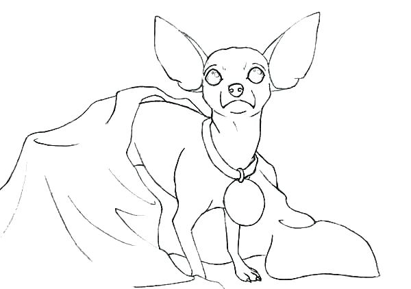 600x422 Coloring Pages For Kids Animals Family With Animal Dog Page Guy